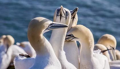 玉环最新的高价医保个人账户余额微信查询方法分享(玉环医保查询个人账户明细怎么查微信教程)