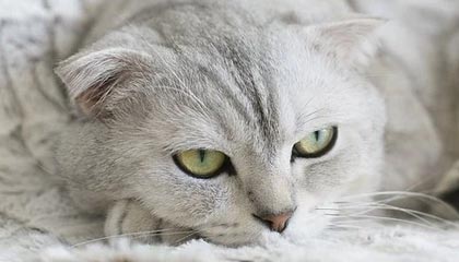 玉环最新的高价医保个人账户余额微信查询方法分享(玉环医保查询个人账户明细怎么查微信教程)