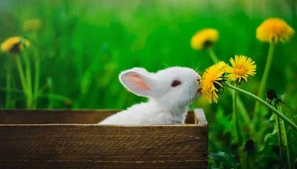 玉环最新的医保卡上的钱怎么提现方法分享(玉环医保卡上的钱怎么提现到银行卡教程)